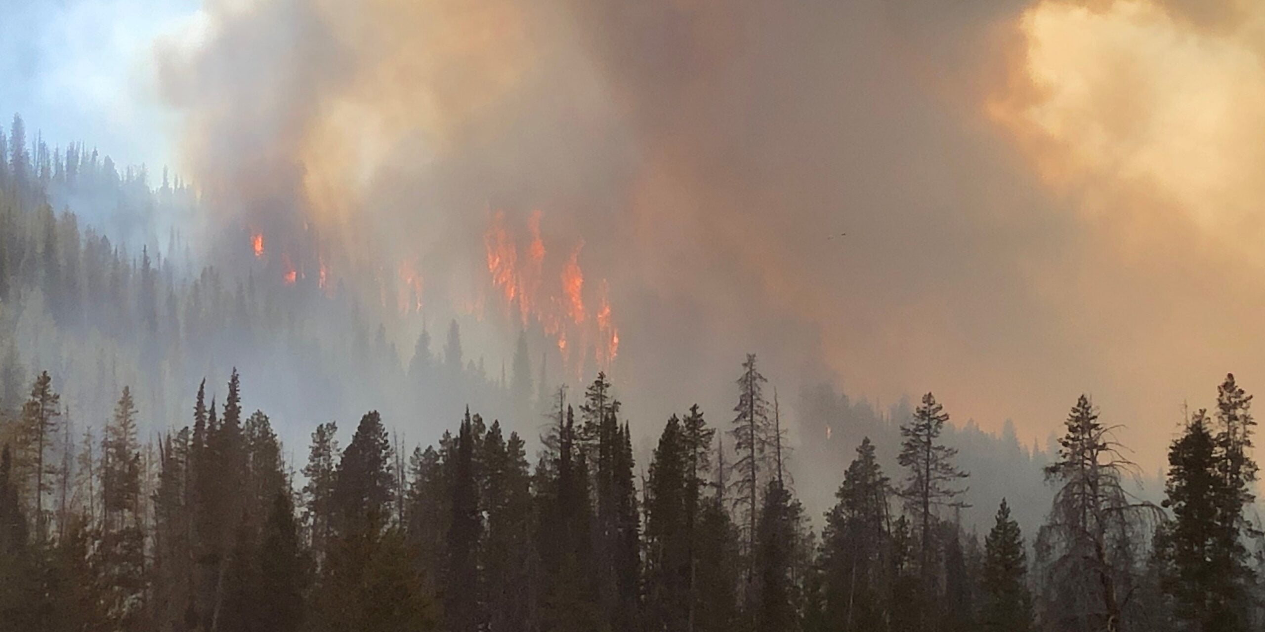 Garmin inReach Explorer+ - Incendie de forêt