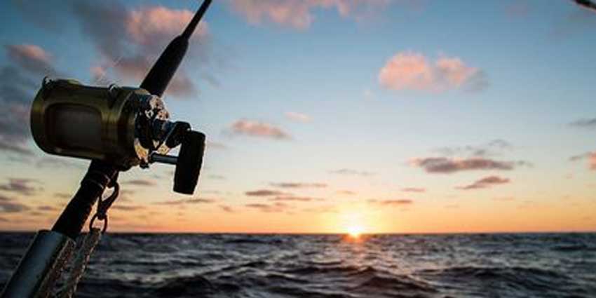 Meilleurs outils de pêche Navionics Garmin